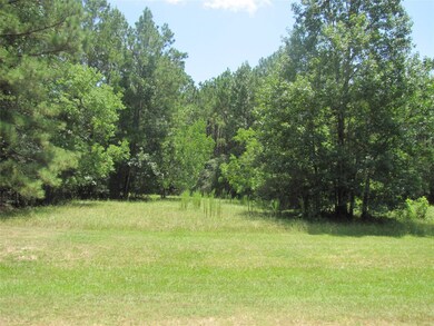 29318 Post Oak Run, Magnolia, TX 77355 - photo 3