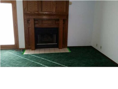 Living Room Fireplace