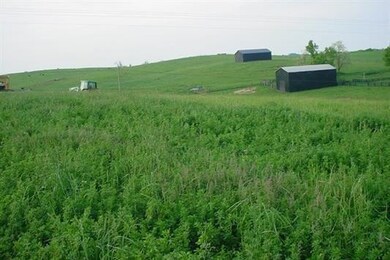 1636 Cummins Ferry Rd, Salvisa, KY 40372 - photo 6