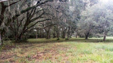summitt plantation 1