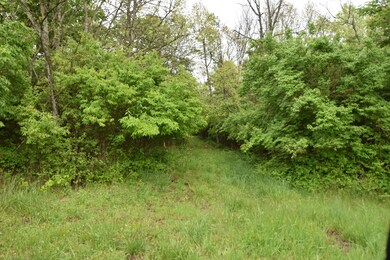 682 A T Dean Rd unit (Tract E), Harrodsburg, KY 40330 - photo 3