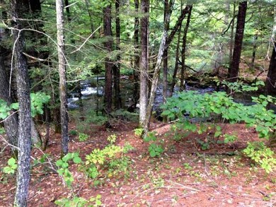 0 Tolman Rd, Harrison, ME 04040 - photo 5