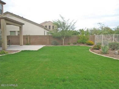 BACK-YARD-2