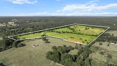 8800 Ginger Rd, Gilmer, TX 75644 - photo 2