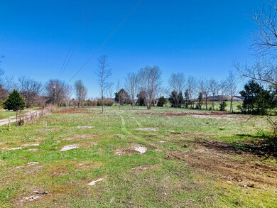 2615 Bluebird Rd, Lebanon, TN 37087 - photo 4