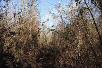 15 Gordon Pond Rd, Lafayette, GA 30728 - photo 5