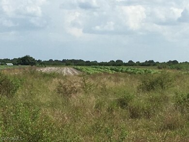 0 3rd Rd unit 218054543, Labelle, FL 33935 - photo 6