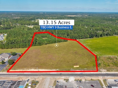 TBD S Carolina 9 Business unit 13.15 Acres, Loris, SC 29569 - photo 4