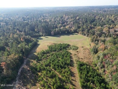 5098 New Hope Rd, Gloster, MS 39638 - photo 6