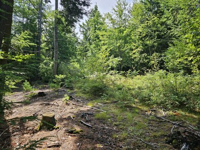 0 Hebo Hybo Rd, Acton, ME 04001 - photo 4