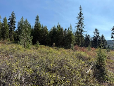 TBD Saint Peters Creek Rd, Malo, WA 99150 - photo 3