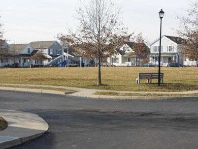 BEAUTIFUL PARK