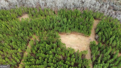 0 Jordon Rd unit 10652075, Waverly Hall, GA 31831 - photo 5