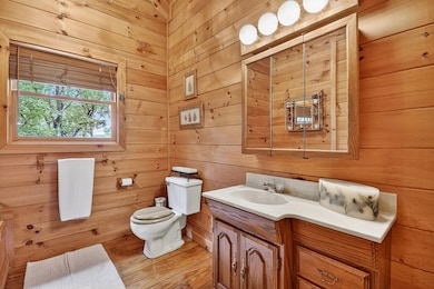 270 Walnut Mountain Rd, Ellijay, GA 30536 - photo 3