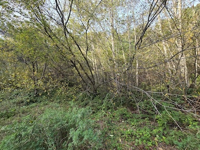 00 & 000 Wolverine Way, Whitethorn, CA 95589 - photo 4