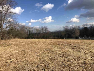 6 Captain Hizer Ln, Fort Defiance, VA 24437 - photo 2