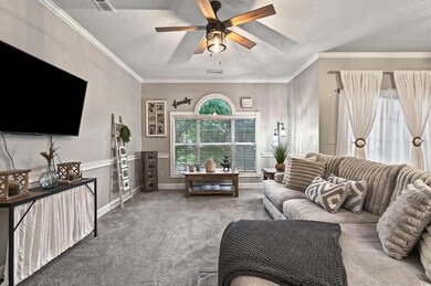 Carpeted living room featuring a textured ceiling, a ceiling fan, ornamental molding, and baseboards