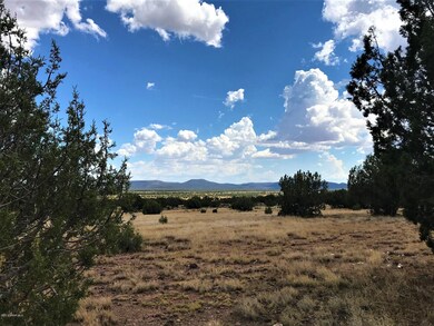 70 Off of Rawhide Ranch Rd, Ash Fork, AZ 86320 - photo 4