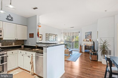 2204 Westcourt Ln unit 316, Herndon, VA 20170 - photo 2