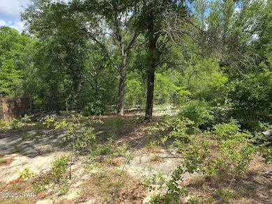 Lot 7 Caldwell Place, Chipley, FL 32428 - photo 3