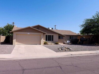 Low Maintenance Front Yard!