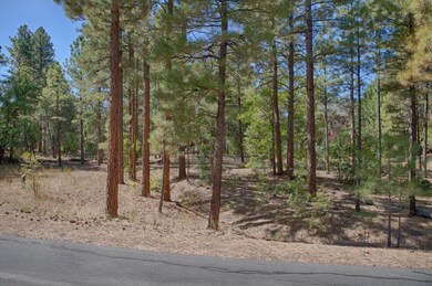 Flat Lot With Slight Slop