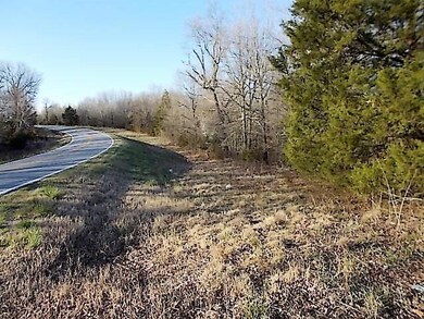 0 State Highway 248 unit 60105000, Jenkins, MO 65605 - photo 2