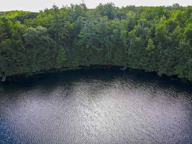 N8481 Bog Lake Rd, Gleason, WI 54435 - photo 6