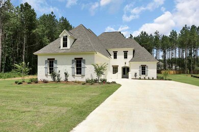 130 Wethersfield Dr, Madison, MS 39110 - photo 4