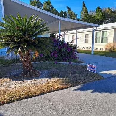 6139 Pueblo Dr, Zephyrhills, FL 33542 - photo 3