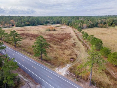 0 Edgerly Dequincy Rd unit SWL25102193, Vinton, LA 70668 - photo 5