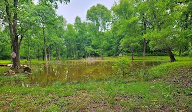 1675 Deen Point Rd, Benton, LA 71006 - photo 4