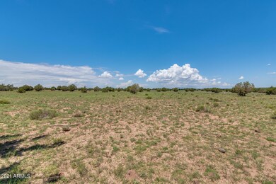 25 Indian Springs Rd unit 2, Ash Fork, AZ 86320 - photo 4