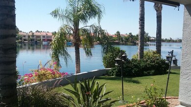 Back yard 3