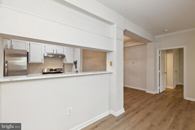 46588 Drysdale Terrace unit 101, Sterling, VA 20165 - photo 6