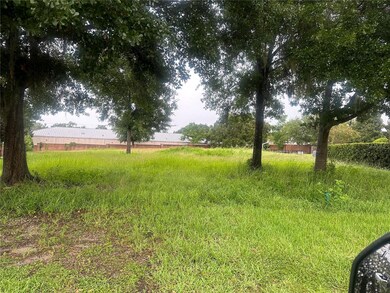 unlisted-address, Wesley Chapel, FL 33543 - photo 4