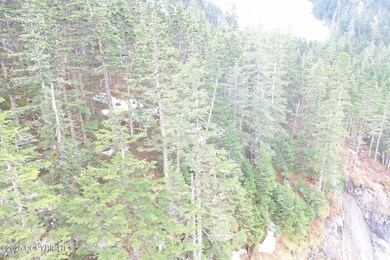 L8 B14 Shotgun Cove Rd, Whittier, AK 99693 - photo 6