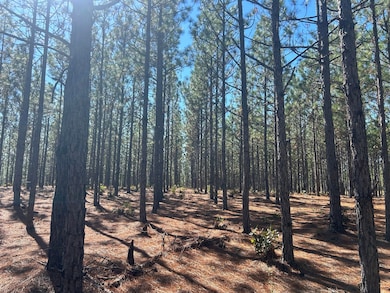 2762 Bullard Ford Rd, Hartsville, SC 29550 - photo 2