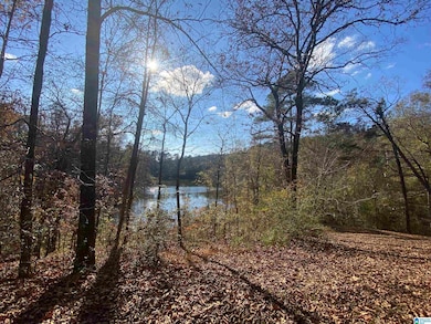 3379 Sharon Ln, Bessemer, AL 35023 - photo 5