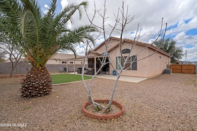 3 Backyard-4