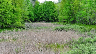 V/L W 1 Mile Rd, White Cloud, MI 49349 - photo 3