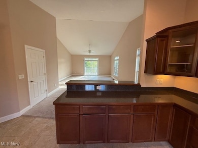Kitchen with a peninsula, dark brown cabinets, glass insert cabinets, open floor plan, and a ceiling fan