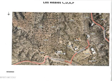 Los Reales overview PNs