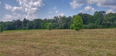 0 Fredonia Rd unit RTC1963611, Manchester, TN 37355 - photo 7