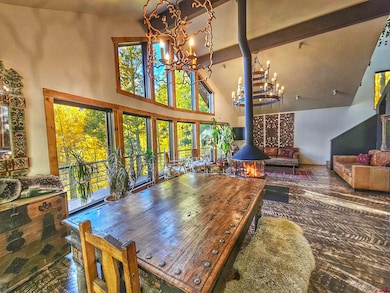 214 Mill, Rico, CO 81332 - photo 5