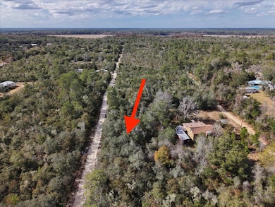 0 NE 233rd Ln unit 22106893, Fort Mc Coy, FL 32134 - photo 3