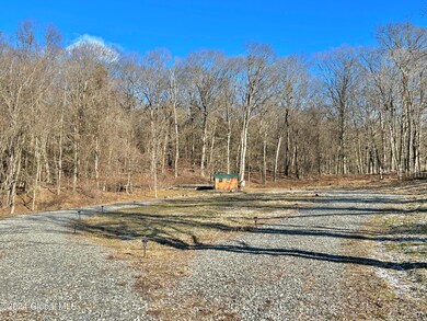 Driveway Circle #1