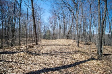 2437 2 Bear Rd, Weyerhaeuser, WI 54895 - photo 4