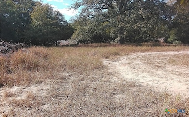 2565 Five Mile & Hwy 95 Rd, Flatonia, TX 78941 - photo 6