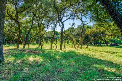 24709 Breeze Oak Ln, Cross Mountain, TX 78255 - photo 4